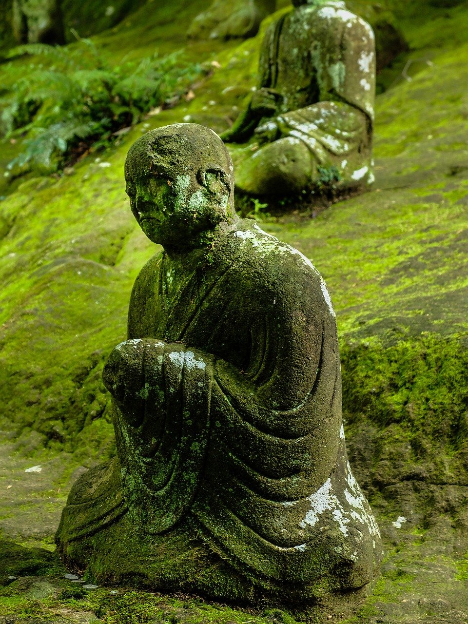 buddha, statue, moss-378137.jpg